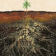 Illustration for article titled This fungus attaches itself to plants and makes the soil belch carbon